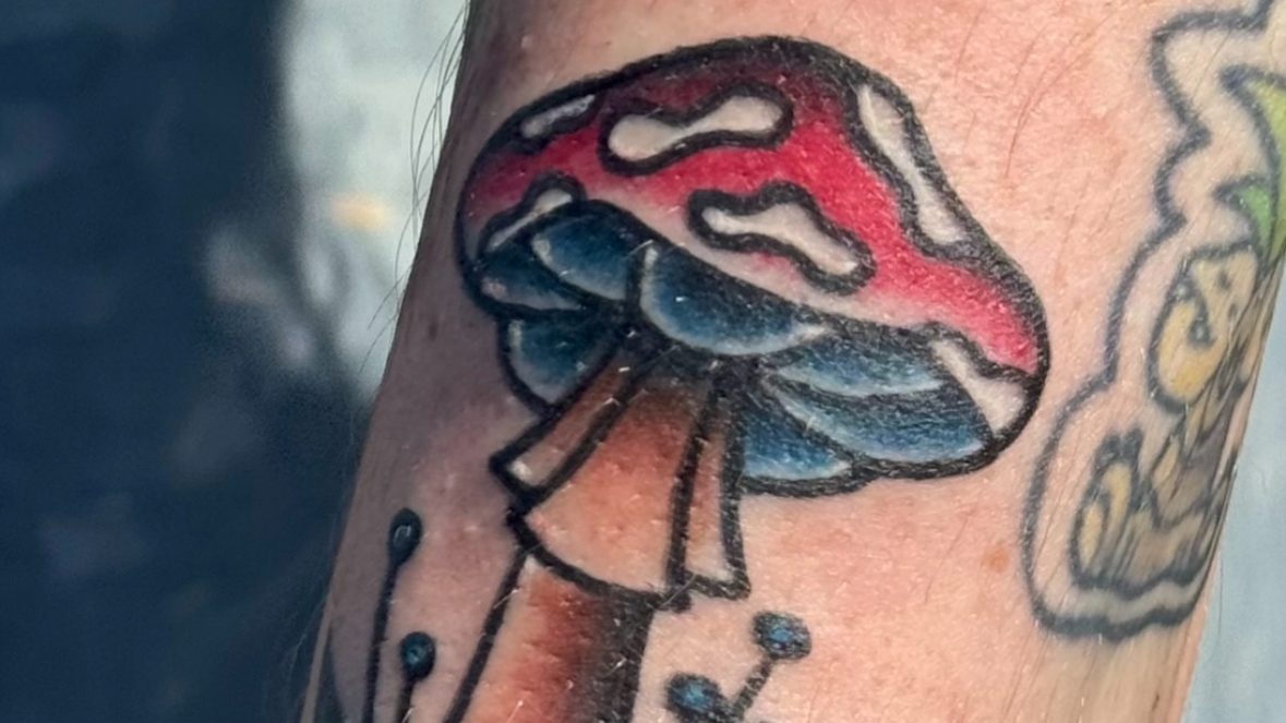 A colorful tattoo of a mushroom with a red and white cap and blue highlights, located on the forearm.